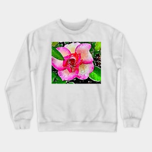 Little garden rose with dew drops Crewneck Sweatshirt